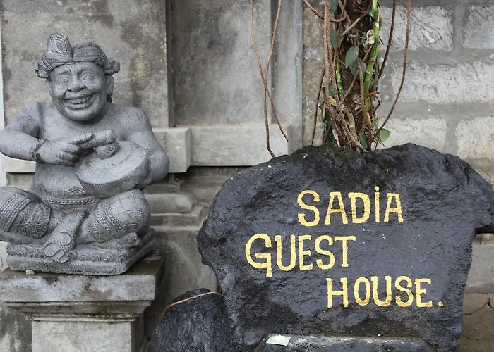 Guest house Sadia *